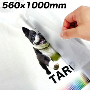 DTFvgtB DTFvg sT[rX A4 A3 560mm×1000mmyDTF IWi vg M] IWiTVc fUCe H AC `[jtH[ wԍ NXTVc