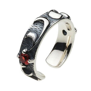 ycenotezVo[925 C[Jt Yye0246zAxXN VR K[lbg u[gp[Y silver925 CJt tFCNsAX sv Ў 