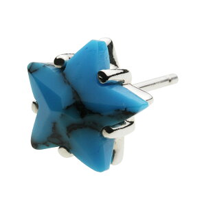 ycenotezVo[925 sAX Yye0490z X^[ pN IjLX ^[RCY silver925 X^bhsAX Ў Lb`t 