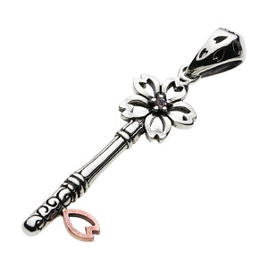 ycenotezVo[925 y_g Yyz-p0702z   L[ AeB[N g} silver925 lbNX y_ggbv 