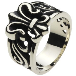 ycenotezzCg^ O Yyz-r5027zS̖ ̖ [ Ԃ  SVbN w 