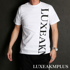 【LUXE AKM PLUS/リュクス エーケーエム プラス 】VERTICAL LOGO T-SHIRTS / Tシャツ / LAT-23008【メンズ】