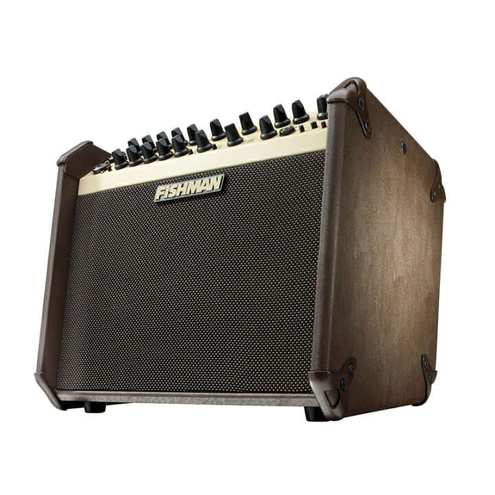 楽天市場】【送料無料】FISHMAN フィッシュマン LOUDBOX ARTIST 