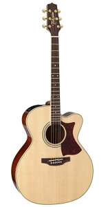 yzTakamine ^J~l PTU041C N AR[XeBbNM^[(GAR) [PTU-041C]