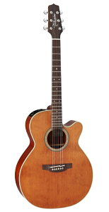 yzTakamine ^J~l PTU531C VBS AR[XeBbNM^[(GAR) [PTU-531C]