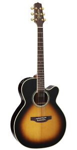 yzTakamine ^J~l PTU541C TBS AR[XeBbNM^[(GAR) [PTU-541C]