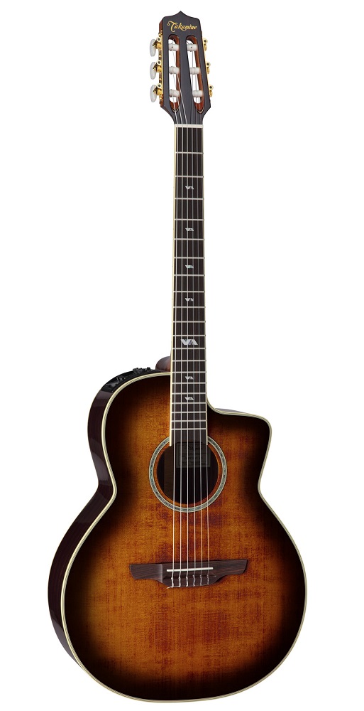 タカミネ アコースティック ギター クラシックギターの人気商品・通販 