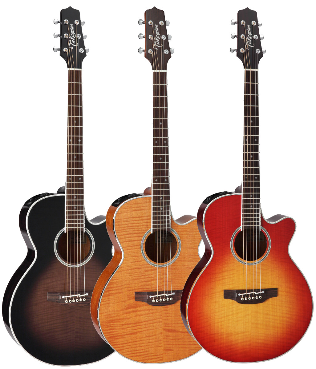 エレアコ タカミネ ギター アコースティックの人気商品・通販・価格 