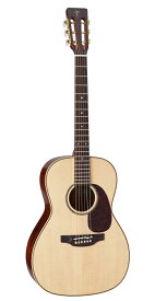 【送料無料】Takamine 《タカミネ》 SA441 N アコースティックギター [SA-441]