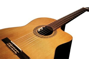 �y���������zL.R.Baggs Anthem SL for Nylon �N���V�b�N�M�^�[�p�s�b�N�A�b�v [Anthem SL Classical]�y���K�A���i�z
