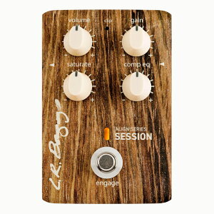 �y���������zL.R.Baggs Align Series Session �A�R�[�X�e�B�b�N�p�T�`�����[�V�������R���vEQ�y���K�A���i�z