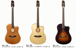 y[\&zL.R.Baggs AEG-1 Acoustic Electric Guitar AR[XeBbNM^[ GAR