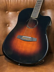 y[\&zL.R.Baggs AEG-1 SB To[XgEVgJEXv[X Acoustic Electric Guitar AR[XeBbNM^[ GAR