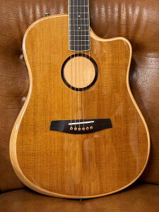 y[\&zL.R.Baggs AEG-1 TOR gt@ChEVgJEXv[X Acoustic Electric Guitar AR[XeBbNM^[ GAR