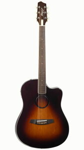 y[\&zL.R.Baggs AEG-1 SB To[XgEVgJEXv[X Acoustic Electric Guitar AR[XeBbNM^[ GAR