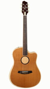 y[\&zL.R.Baggs AEG-1 TOR gt@ChEVgJEXv[X Acoustic Electric Guitar AR[XeBbNM^[ GAR