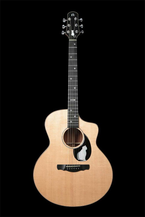 楽天市場】【送料無料】Natasha Guitar ナターシャギター CAT 