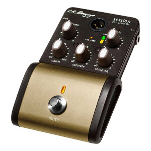 �y���������zL.R.Baggs Session Acoustic D.I �A�R�[�X�e�B�b�N�p�v���A���v [DI]�y���K�A���i�z