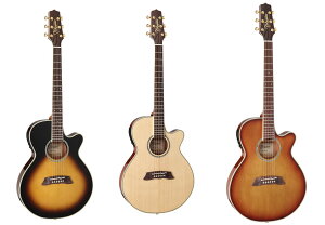 yzTakamine ^J~l TSP138C AR[XeBbNM^[(GAR)