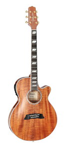 yzTakamine ^J~l TSP178ACK N AR[XeBbNM^[(GAR)