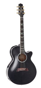 yzTakamine ^J~l FPT181AC SBL AR[XeBbNM^[(GAR)