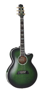yzTakamine ^J~l FPT181AC SGS AR[XeBbNM^[(GAR)