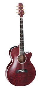 yzTakamine ^J~l FPT181AC WR AR[XeBbNM^[(GAR)