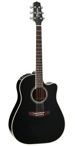 yzTakamine ^J~l FPT861C BL AR[XeBbNM^[(GAR)