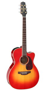 yzTakamine ^J~l FPT752C CYS AR[XeBbNM^[(GAR)