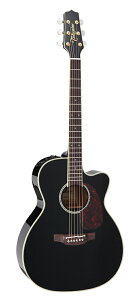 yzTakamine ^J~l FPT752C BL AR[XeBbNM^[(GAR)