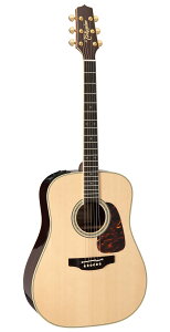 yzTakamine ^J~l DMP251-DC N AR[XeBbNM^[(GAR)