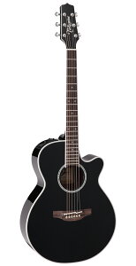 yzTakamine ^J~l FPT161C BL AR[XeBbNM^[(GAR)