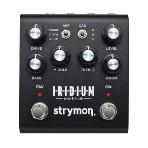 yzstrymon XgC IRIDIUM AMP & IR CAB G~[^[