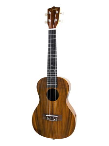 y[\zS.YAIRI S.C YU-C-01K RT[gEN RA^MAyO [YUC01K] Ukulele