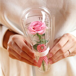 ؂ȐlKɂo ܂냍[Y 菑bZ[W  C  Mtg o a v[g    c FB  j  ސEj ʉ 1{̃o  a