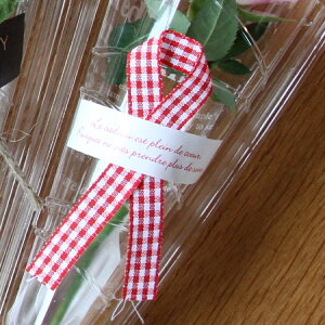 eCxgɑΉ KɂȂ邨 Ԍt ԐFA\[g ܂냍[Y  o    p[eB[  񎟉  j ސEj ʉ 1{̃o  a zCg