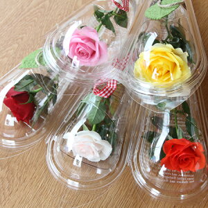 ؂ȐlKɂo ܂냍[Y 菑bZ[W  C  Mtg o a v[g    c FB  j  ސEj ʉ 1{̃o  a