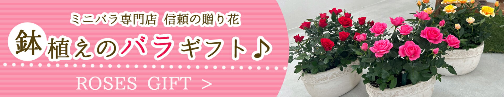 ギフト