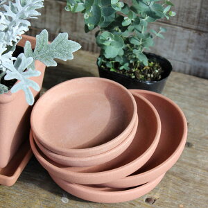 6GRv[gMہi6Fj56̔ɍœK y  g₷ nɂ₳ v[g VRfޔz K[fjO M