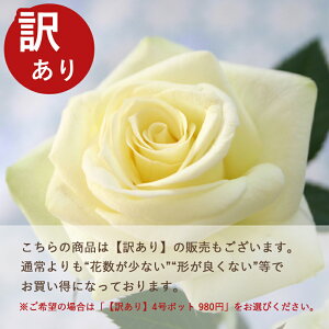 ~joy֌nzxKEtH[Go[i4j ~joc lG炫 oc Ԓd  o KN ~jo  K[fjO o A