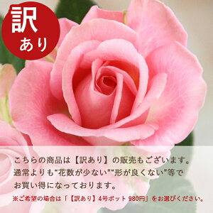 ~joy֌nzsNECtBjeBi4j ~joc lG炫 oc Ԓd  o KN ~jo  K[fjO o A (́F_[NsNECtBjeB)