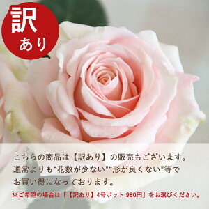 ~joy֌nzvZXEIuECtBjeBi4j ~joc lG炫 oc Ԓd  o KN ~jo  K[fjO o A