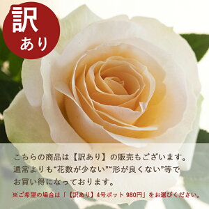 ~joy֌nzThoNXTZbgEtH[Go[i4j ~joc lG炫 oc Ԓd  o KN ~jo  K[fjO o A