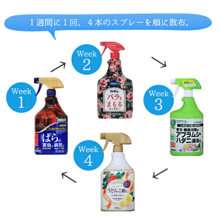 楽天市場 予防 治療 薬剤４本ローテーションセット ミニバラ育て方 バラ 薔薇 ガーデニング アフターケア 予防 ミニバラ専門店 セントラルローズ