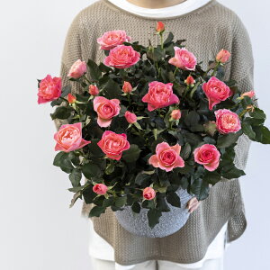 yiʎdāzX̃o̔A փ~jo̔͂̊񂹐A ؂ȕցuiʂȋCv𑡂܂I o A ~jo  lG炫 Mtg  񂹐A