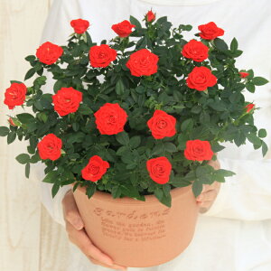 X̃o̔A ԐFIׂ  GRT[N@av[g LO  a  c Mtg  җj  ސEj j  N ʉ  j 