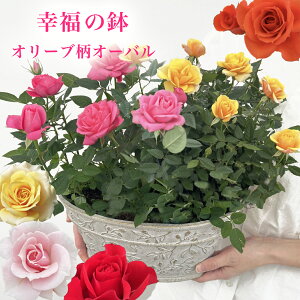 X̃o̔AK̃I[u I[o o̔A  av[g LO  a  c Mtg  җj  ސEj j  N ʉ 