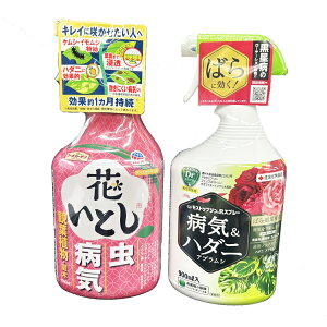 yÁz2{[e[VZbg ~joĕ o KN K[fjO At^[PA