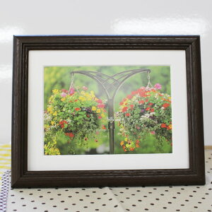 �ؐ��z�� �t�W�J���[ YM-3 �L���r�l �u���E�� ����y �t�H�g�X�^���h �V���v�� 2L�T�C�Y�p ���}�b�g�䎆 �����v�����g���T�t�� �y�X�����Ή����i�z