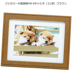 �ؐ��z�� �t�W�J���[ YM-9 �L���r�l �u���E�� ����y �t�H�g�X�^���h �V���v�� 2L�T�C�Y�p ���}�b�g�䎆 �����v�����g���T�t��